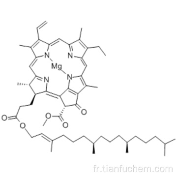 CHLOROPHYLLE A CAS 479-61-8